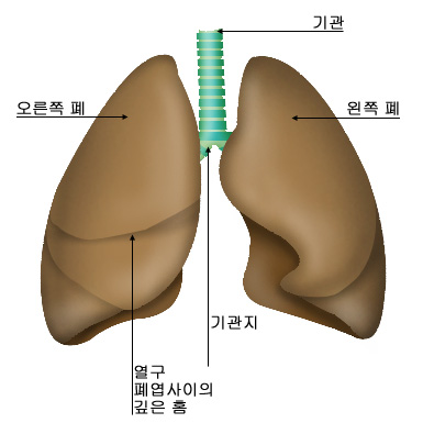 의약품 이미지